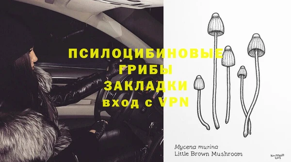 гашишное масло Богородицк