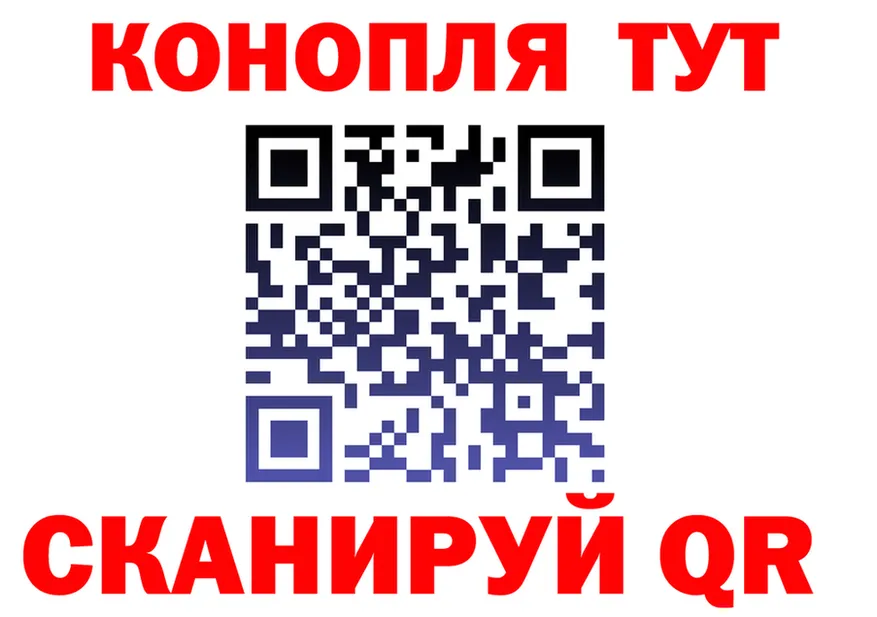 Alfa_PVP СК как зайти это KRAKEN Макаров
