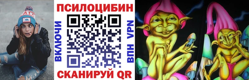 Купить  Макаров  Псилоцибиновые грибы Psilocybe 